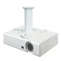 NeoMounts Beamer-c80white Max Loftprojektorbeslag 15kg