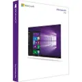 Microsoft Windows 10 Pro (OEM)