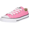 Converse Chuck Taylor All Star Sko