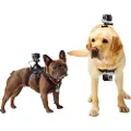 GoPro Fetch