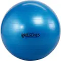 Thera-band Scp Fitball