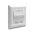 DeLOCK Keystone-vægkontakt Med 2 Porte