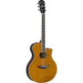 Yamaha APX600FM Electro Acoustic Amber