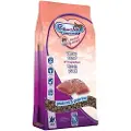 Renske Super Premium Adult kornfri frisk and kattefoder