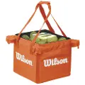 Wilson Boldpose