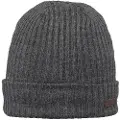 Barts Wilbert Turnup Beanie