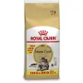 Royal Canin 10 + 2 kg gratis! 12 kg Royal Canin kattetørfoder - Maine Coon Adult