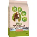 IAMS Naturally Adult med laks & ris hundefoder