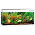 Juwel Rio Led 240 Akvarium