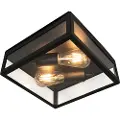 QAZQA Industriel udendørs loftslampe sort 2-lys - Rotterdam