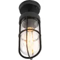 QAZQA Rustik udendørs loftslampe sort med glas IP44 - Elza