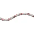 Mammut 10.0 Performance Static Reb