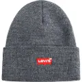 Levi's Batwing Slouchy Embroidered Beanie