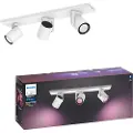 Philips Hue Argenta Plate/Spiral 3x5.7W - Hvid