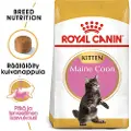 Royal Canin Økonomipakke: 2 store poser Royal Canin kattetørfoder - Maine Coon Kitten (2 x 10 kg)