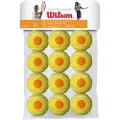 Wilson Starter Tennisbolde 12 Enheder