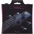 Ibanez IEBS4C 4 String Bass Set