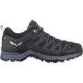 Salewa Mtn Trainer Lite Goretex Vandresko