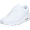 Nike Air Max 90-sko til mænd - hvid