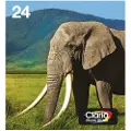 Epson Multipack 6-colours 24 Easymail