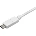 StarTech.com Usb-c Til Displayport 3 M