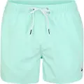 Quiksilver Everyday Volley 15´´ Badeshorts