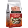Golden Eagle Holistic Power Chicken - Økonomipakke: 2 x 12 kg