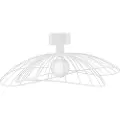 Globen Lighting - Plafond/væglampe Ray 60 cm - Hvid - Plafonder - - Homeroom
