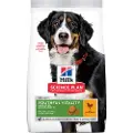 Hills Senior Hundefoder Til Store Racer Kylling (h605269) 12kg