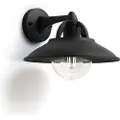 Philips Cormorant wall lantern black 1x42W 230V