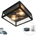 QAZQA Industriel smart udendørs loftslampe sort inkl. 2 WiFi ST64 - Rotterdam