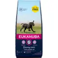 Eukanuba 15 + 3 kg gratis! 18 kg Eukanuba Adult & Puppy - Puppy Large