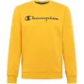 Champion 214744 Sweatshirt