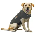 Thundershirt til hunde
