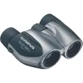 Olympus 10x21 Dpc I Kikkert