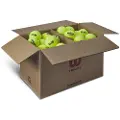 Wilson Triniti Club Tennisboldekasse 72 Enheder