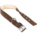 Ferplast Daytona 30 Mm 55 Cm Hundehalsbånd