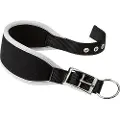 Ferplast Ergocomfort 25 Mm 46 Cm Hundehalsbånd