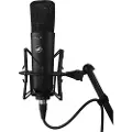 Warm Audio WA87 R2 FET Condenser Microphone Black - Nearly New