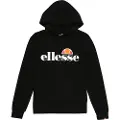 Ellesse Jero Hættetrøje