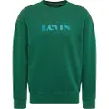 Levi's Relaxed T2 Graphic Crew Sweatshirt