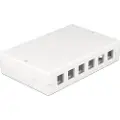 DeLOCK 12 Port Keystone Box