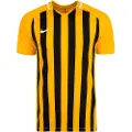 Nike Strp Dvsn Iii T-shirt Med Korte ærmer