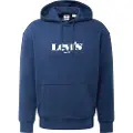 Levi's T2 Relaxed Graphic Hættetrøje