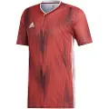 Adidas Tiro 19 Power T-shirt Med Korte ærmer