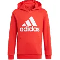 Adidas Essentials Hættetrøje