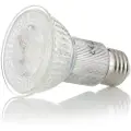 BELID - Plafond Bizzo diameter 16,5 - Krom - Plafonder - - Homeroom