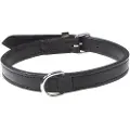 Trixie Active collar leather M: 36-43 cm/18 mm black