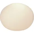 Aneta Lighting - Bordlampe Globus - Hvid - Bordlamper - - Homeroom