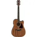 Ibanez AW54CE Artwood Open-Pore Natural